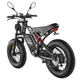 Fafrees F20 Ultra elektriskais velosipēds (atjaunināta bremžu versija), 750W motors, 48V 25Ah