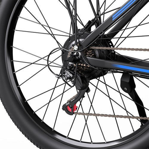DUOTTS C29-M Elektriskais divritenis 750W motors 48V 15Ah