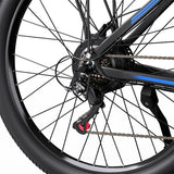 DUOTTS C29-M Elektriskais divritenis 750W motors 48V 15Ah