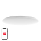 Yeelight Arwen Ceiling Light 550C