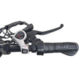 DRVETION AT20 Pro elektriskais velosipēds, 750 W BAFANG motors