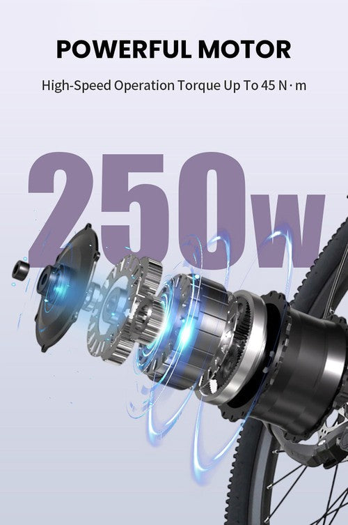 Cysum X-city Elektriskais divritenis, 250W motors, 48V 10.4Ah
