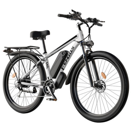 FENGQS Q8 elektriskais divritenis, 750W, 50 km/h, hidrauliskās disku bremzes