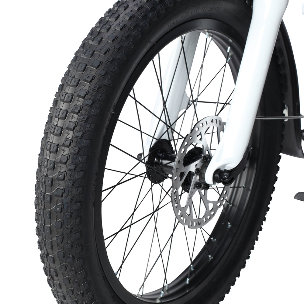 PHILODO Traveller ģimenes un kravas elektriskais velosipēds