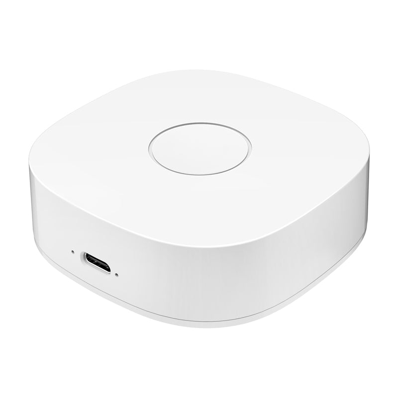 Smart home WS2GW-R WiFi