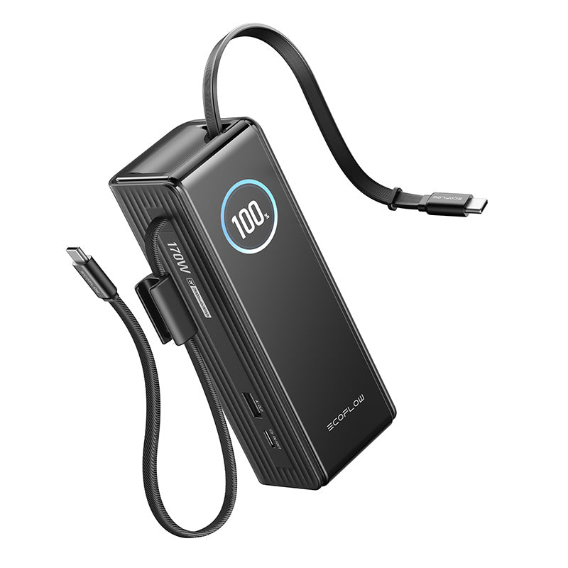 EcoFlow RAPID Powerbank 25000mAh, 170W (built-in 100W cables).
