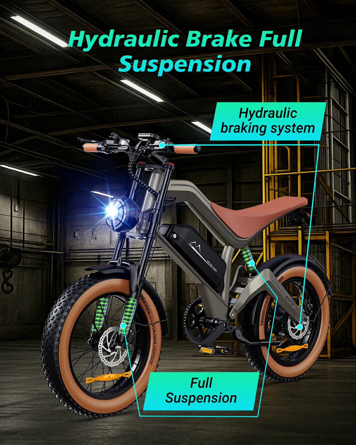 DYU M20 elektriskais velosipēds 750W