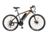 Fafrees Hailong One elektriskais velosipēds, 250W motors, 36V13Ah