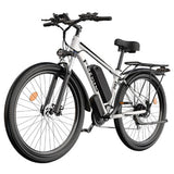 FENGQS Q8 elektriskais divritenis, 750W, 50 km/h, hidrauliskās disku bremzes