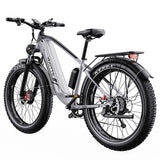 DUOTTS F26 Lite elektriskais divritenis, 500 W motors, 48 V 18 Ah