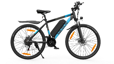 VARUN M27-1 elektriskais divritenis 250W