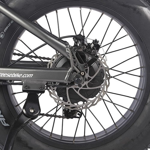 Fafrees F20 Ultra elektriskais velosipēds (atjaunināta bremžu versija), 750W motors, 48V 25Ah