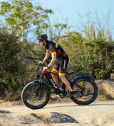 DUOTTS F26 Lite elektriskais divritenis, 500 W motors, 48 V 18 Ah