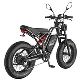 Fafrees F20 Ultra elektriskais velosipēds (atjaunināta bremžu versija), 750W motors, 48V 25Ah