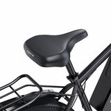 DUOTTS C29-M Elektriskais divritenis 750W motors 48V 15Ah