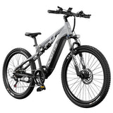 DUOTTS E29 Elektriskais divritenis, Shimano hidrauliskās disku bremzes
