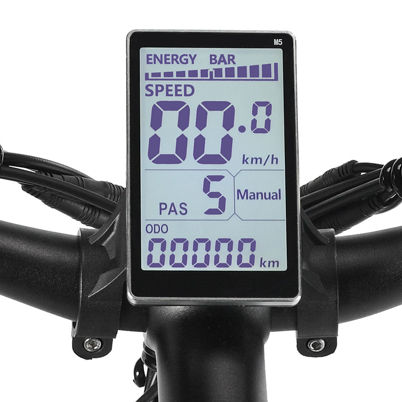 PHILODO H7 Pro elektriskais divritenis 1000W